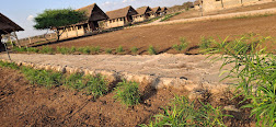 Osutua Rafiki Camp image 3